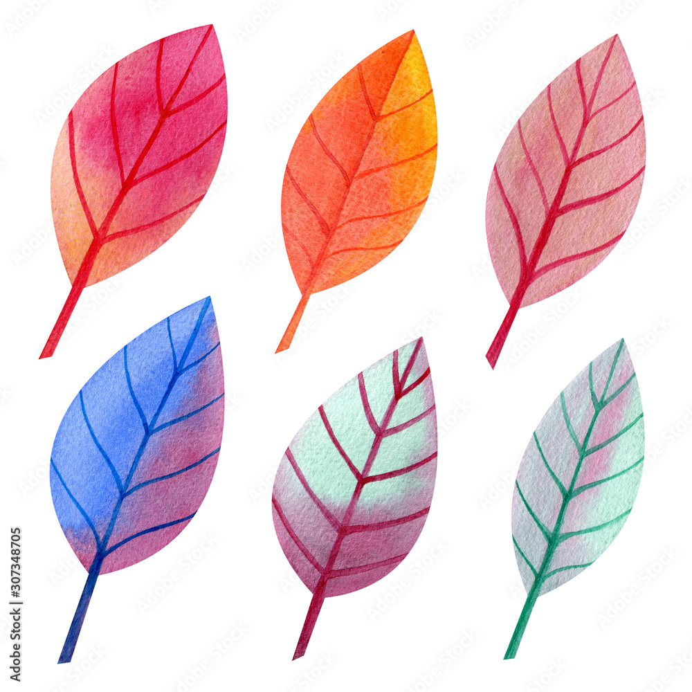 Collection of colorful stylized leaves, isolated on a white background. Hand-drawn watercolor illustration