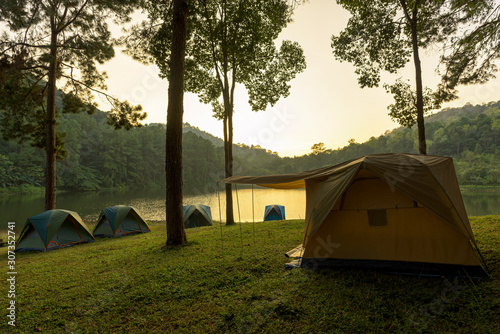 Camping and tent middle at beautiful pine forest in sunrise.