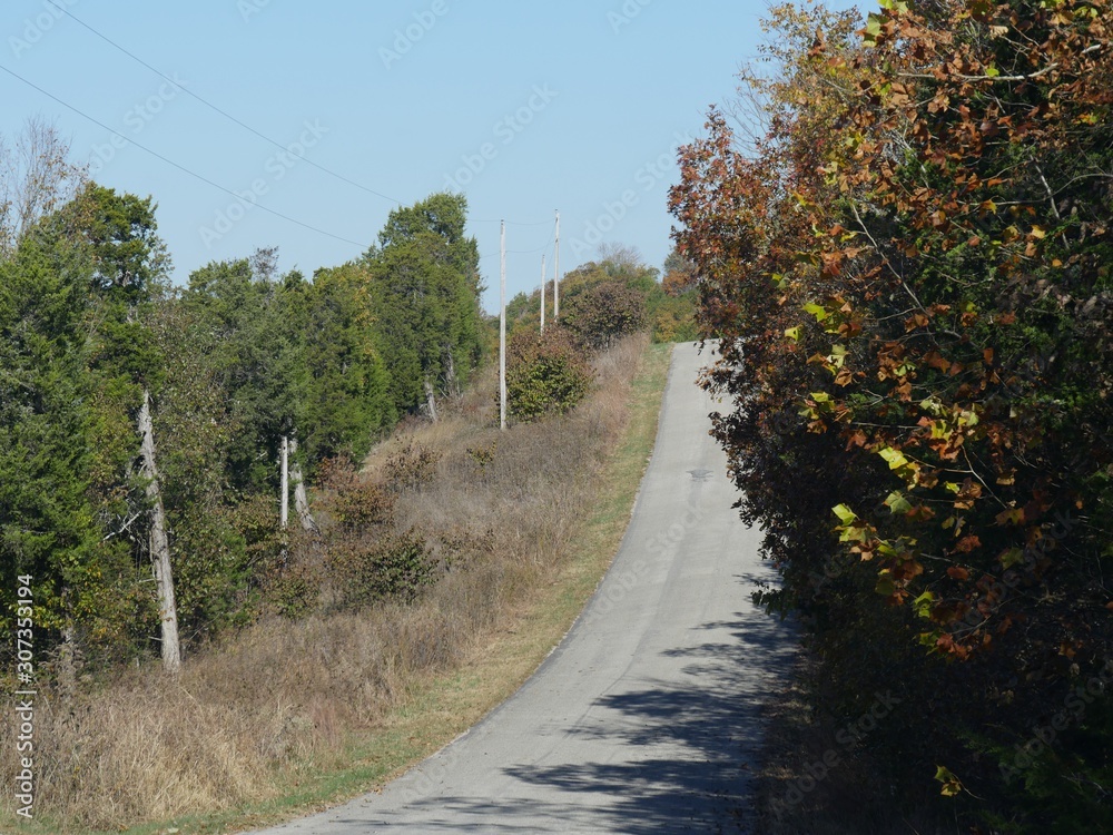Colorful foliage in autumn casting shadows on a sloping road in Arkansas