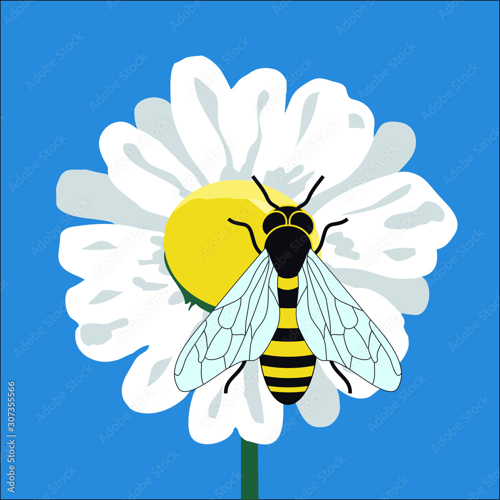 Illustration vectorielle couleur avec une abeille butinant une fleur pour promouvoir un miel de qualité.