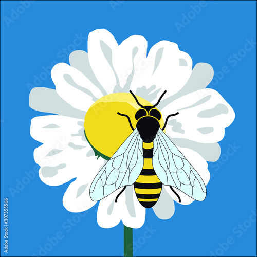 Illustration vectorielle couleur avec une abeille butinant une fleur pour promouvoir un miel de qualité.