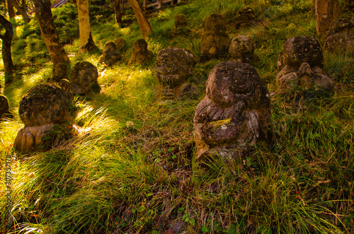 Otagi Nenbutsuji Temple in Kyoto, Japan photo