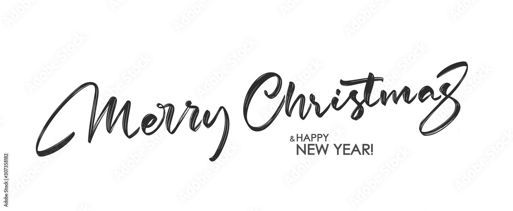 Handwritten calligraphic brush lettering of Merry Christmas on white background.