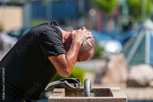 Papier peint Hundstage