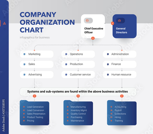 Company Organization Chart. Structure of the company. Business hierarchy organogram chart infographics. Corporate organizational structure graphic elements.  photo