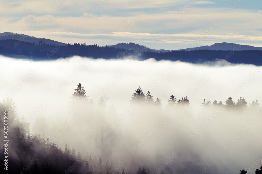 Φωτογραφία Mountain fog over the forest
