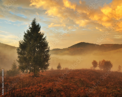 autumn morning. Dawn in the Carpathian mountains. foggy autumn sunrise