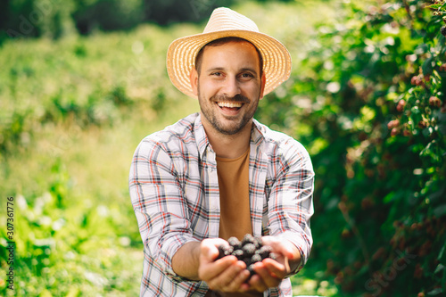 Young farmer harvesting brambles. Attractive young man at farm