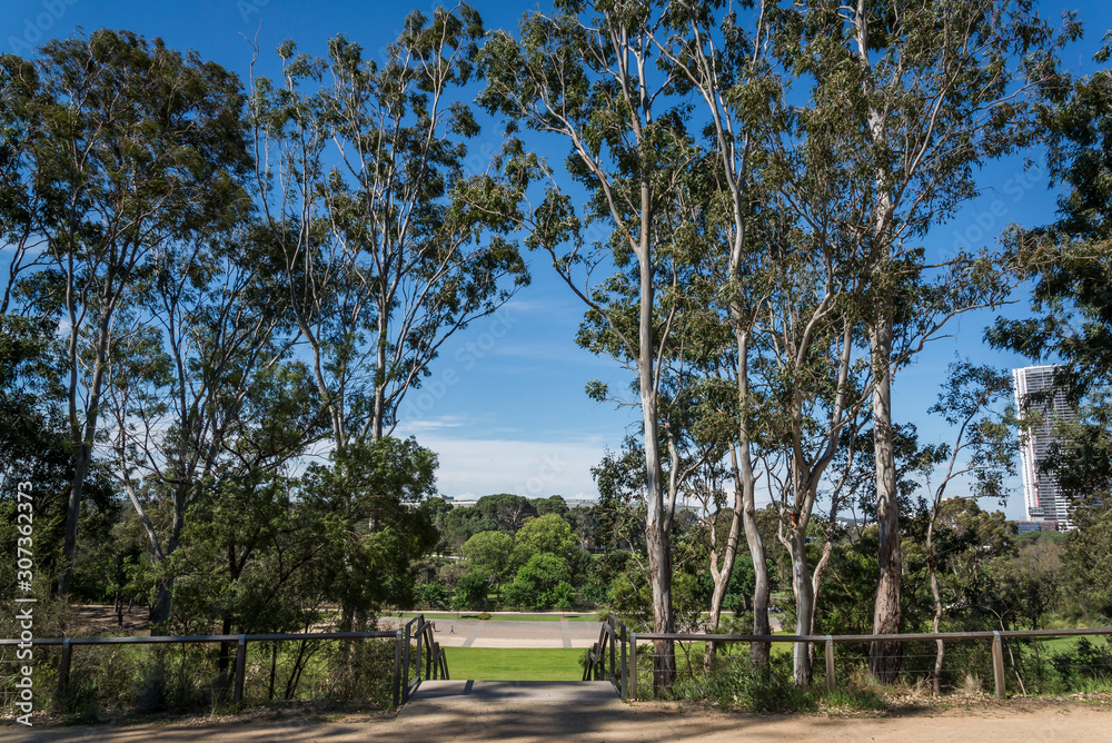 Parramatta Park in the western suburb of Parramatta, Sydney, Australia