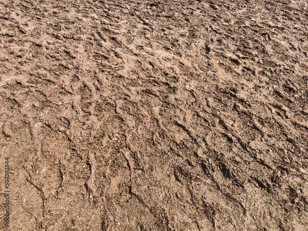 Wide shot of textures and patterns in a muddy ground