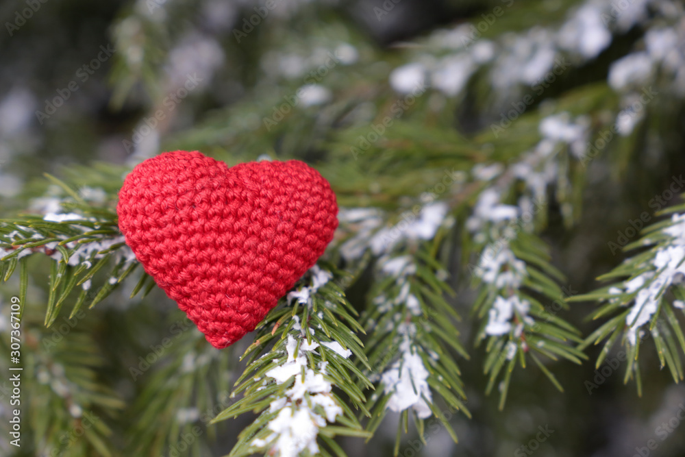 Christmas heart, red knitted symbol of love on fir branches in the snow. Background for romantic card, New Year celebration, Valentine's day or winter weather Christmas heart, red knitted symbol of love on fir branches in the snow. Background for romantic card, New Year celebration, Valentine's day or winter weather