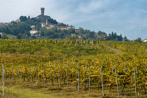 Vineyards of Oltrepo Pavese, Italy, at fall photo