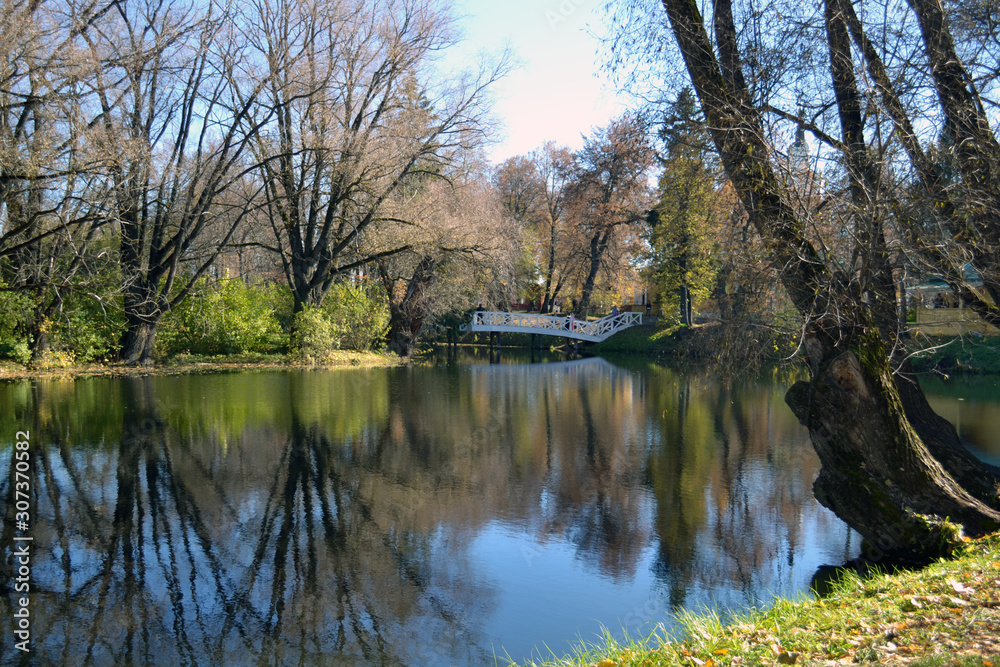 Park pond in the estate of Pushkin.