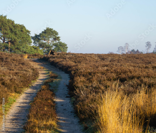road in the countryside