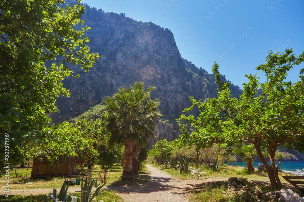 Summer butterfly valley sea beach view and cruise boat Oludeniz