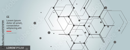 Vector network hexagon and connected cells background