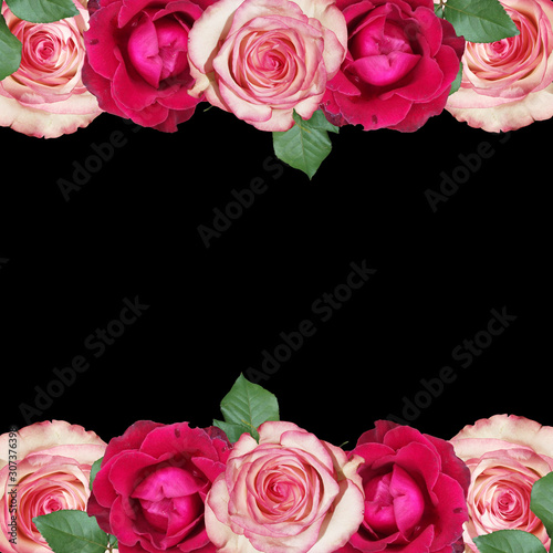 Beautiful floral background of pink and burgundy roses. Isolated © Ann-Mary