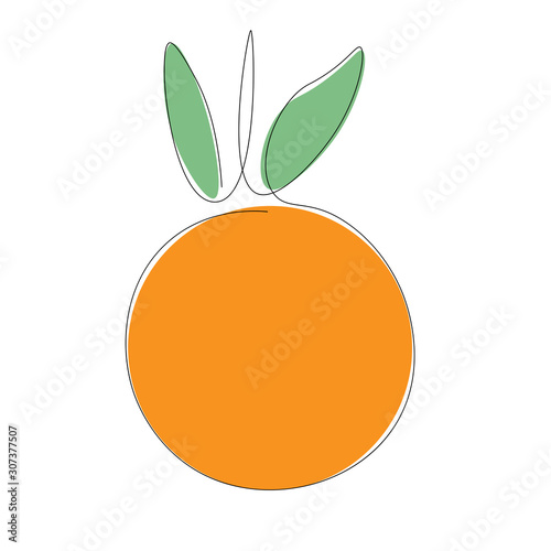 Orange fruit on white background vector illustration