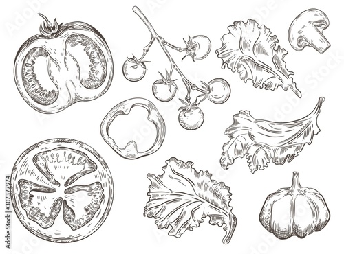 Set of vintage images of vegetables. Pepper rings, tomatoes, mushrooms, lettuce, garlic. © Tutsi_N