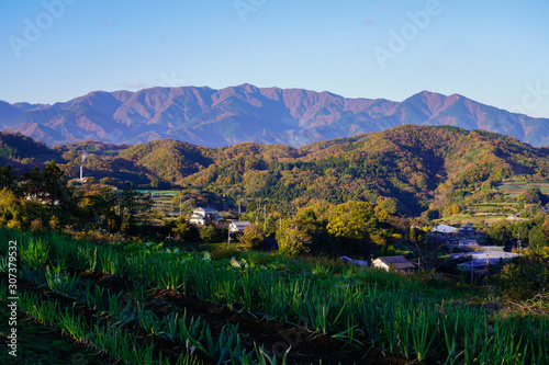 丹沢と紅葉