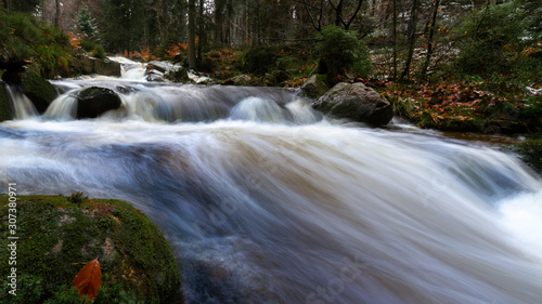 Wildbach im Nationalpark Harz