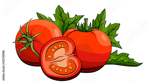 Vector illustration of tomatoes on white.