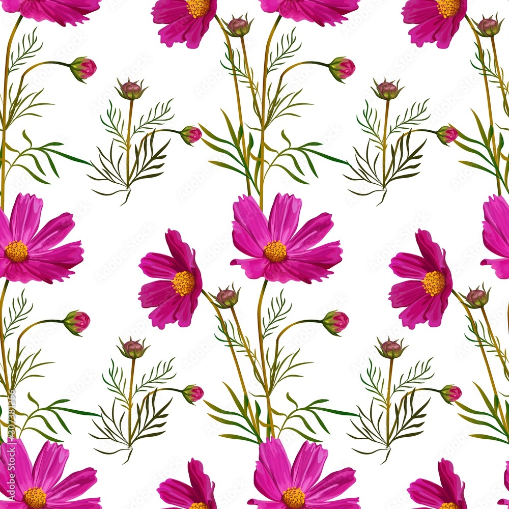 Cosmos flower pink seamless pattern on white background -vector