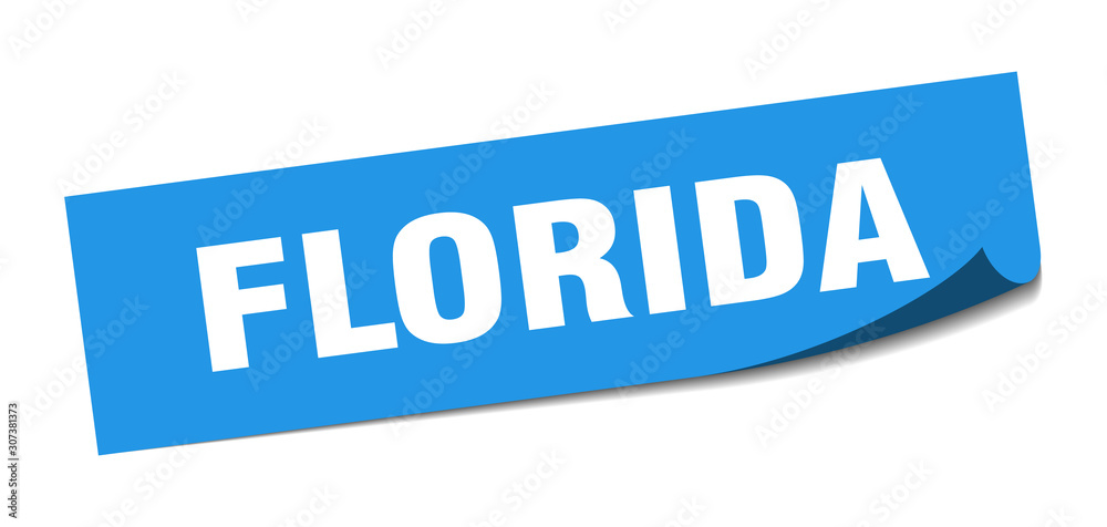 Florida sticker. Florida blue square peeler sign