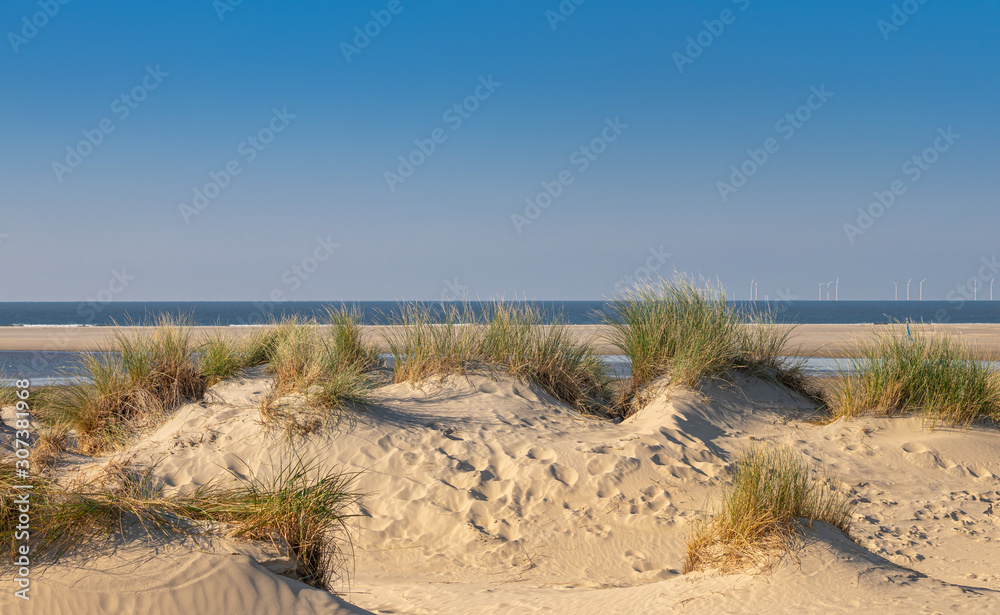 Dünen auf Borkum, Reise Insel Nordsee Deutschland Dünen auf Borkum, Reise Insel Nordsee Deutschland