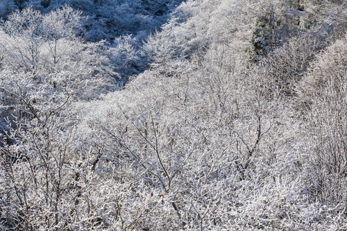 hirayu onsen snow © 茉利生 佐藤