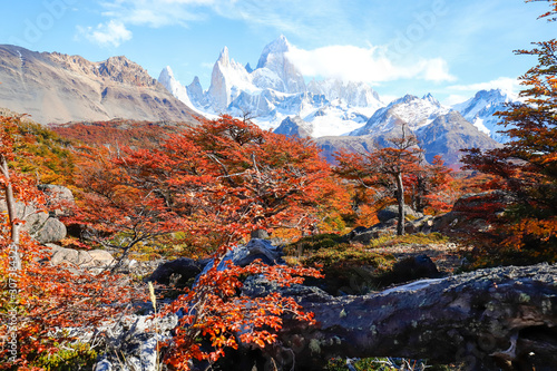 Autumn colors of vegetation around the Laguna Capri with Mount Fitzroy in the background, National Park of Los Glaciares, Argentina