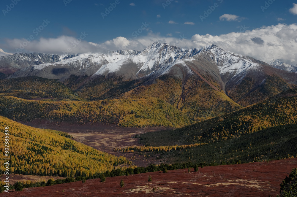 Autumn yellow wild mountain valley with larch trees and snow peaks