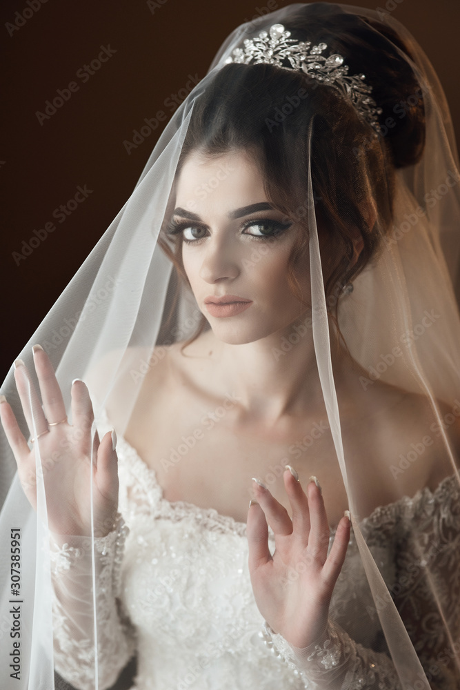 A bride with a veil over her face. A piercing look. Sexy bride. Bride in the morning preparation. Sensuality brunette with beauty makeup and hair style A bride with a veil over her face. A piercing look. Sexy bride. Bride in the morning preparation. Sensuality brunette with beauty makeup and hair style