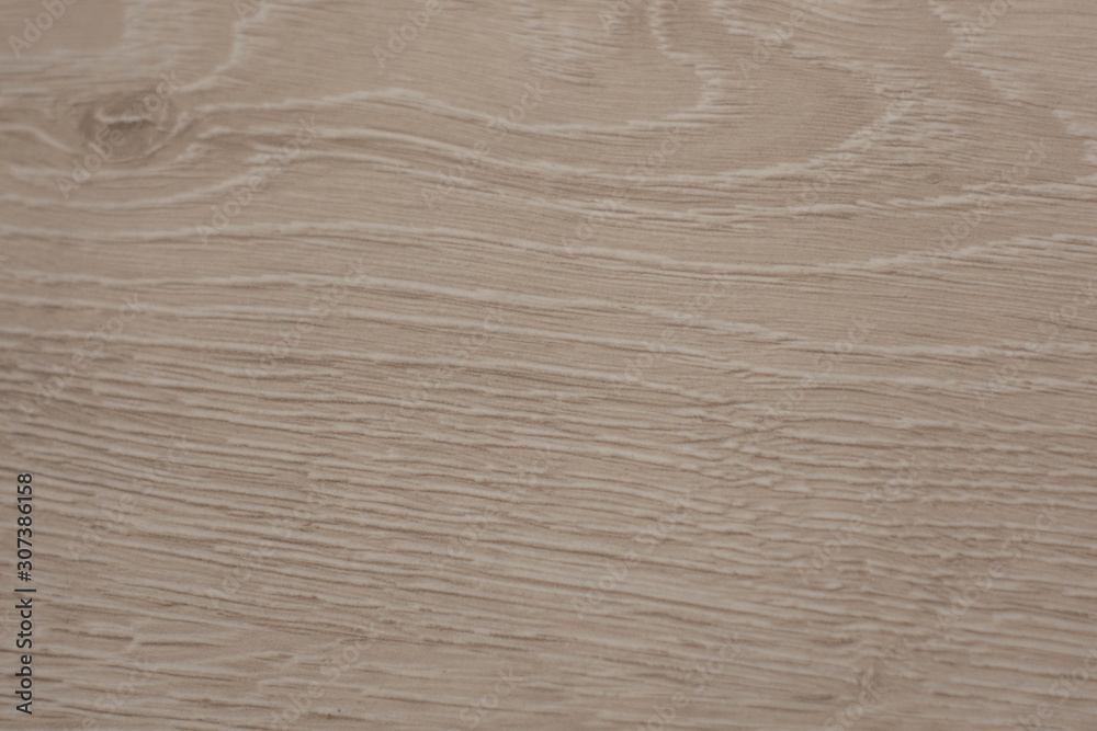 seamless beautiful tree texture background in the interior seamless beautiful tree texture background in the interior