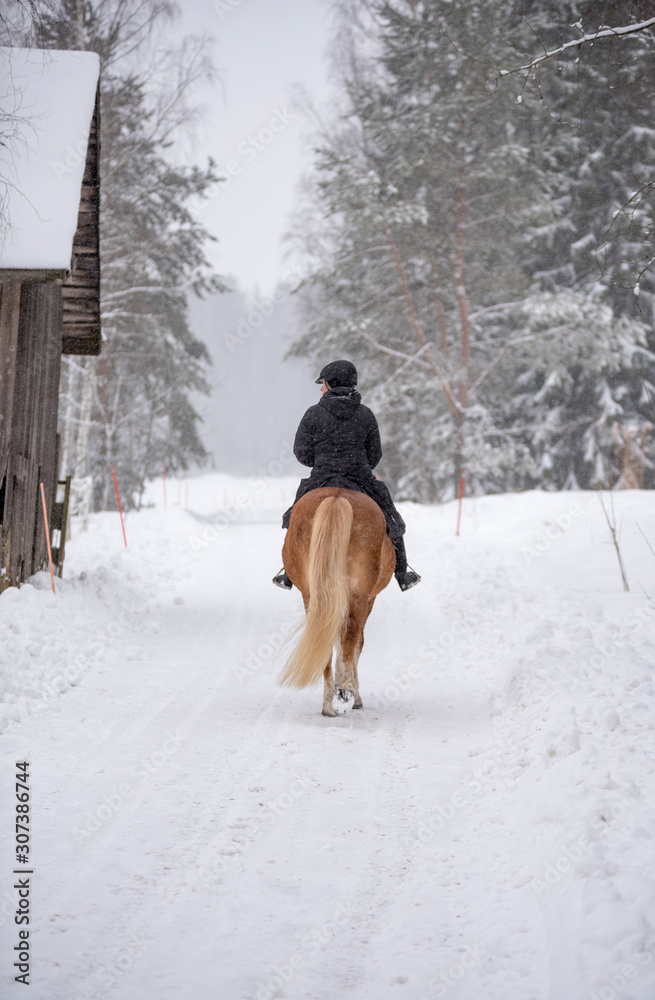 Woman horseback riding in winter Woman horseback riding in winter