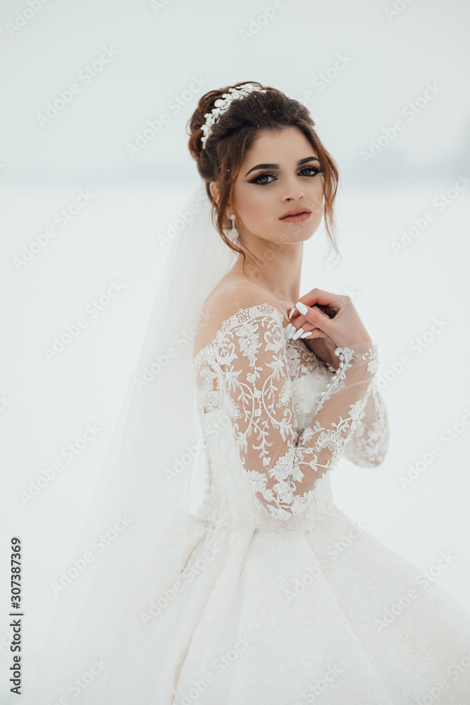 Photo winter bride. Beautiful elegant bride with hairstyle, diamond crown and earring. Perfect makeup. Against the background of a winter landscape with snow Photo winter bride. Beautiful elegant bride with hairstyle, diamond crown and earring. Perfect makeup. Against the background of a winter landscape with snow