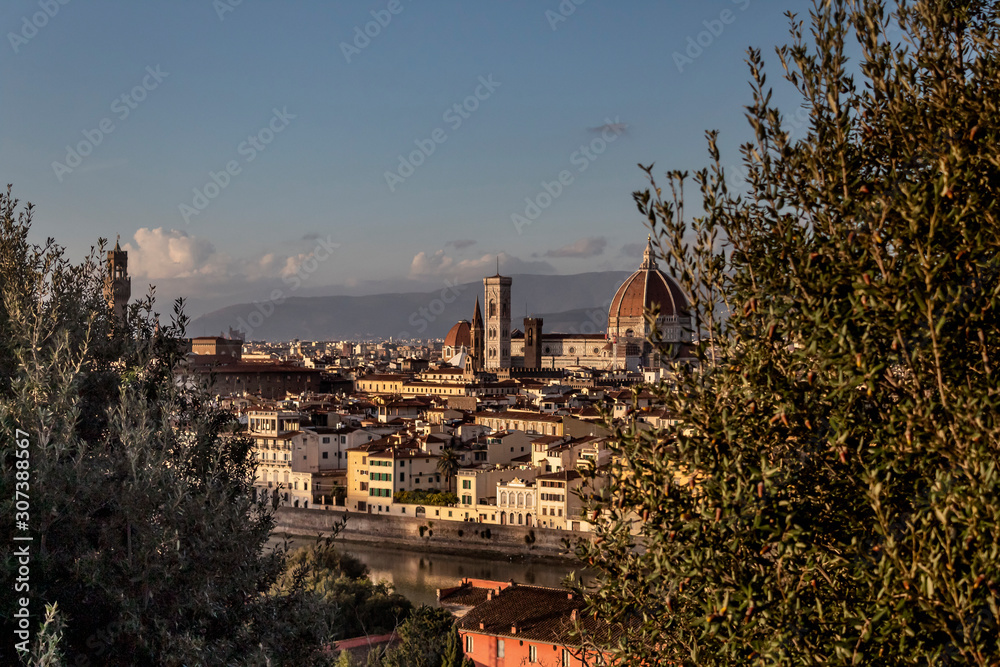 Fototapeta premium Firenze