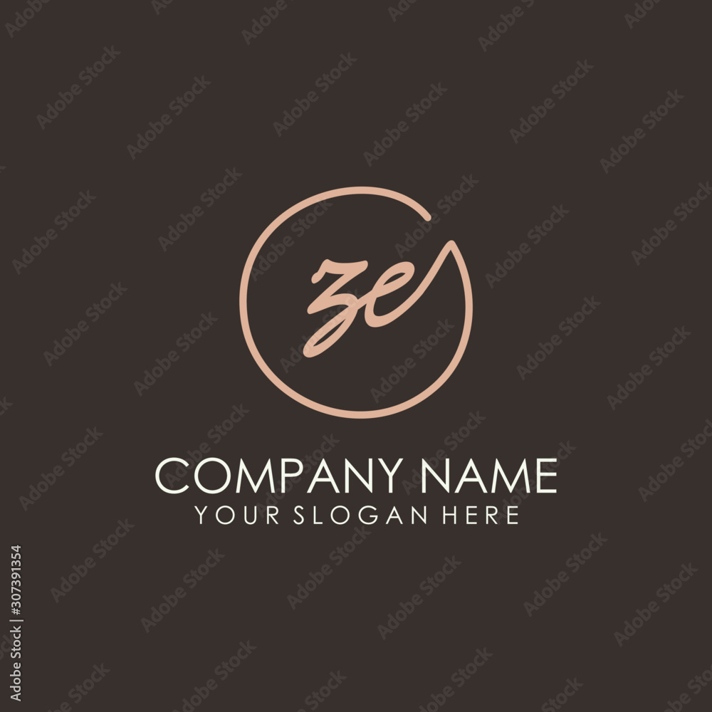 ZE initials signature logo. Handwritten vector logo template connected to a circle. Hand drawn Calligraphy lettering Vector illustration.