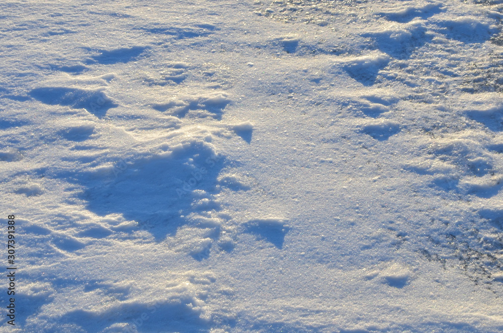 Naklejka premium Close up of white snow background. Snow covered ground on a frosty winter day. The concept of colds and blizzards. Frozen river or lake, pure tone texture
