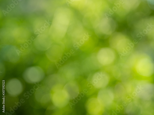 abstract green nature background © nitinan