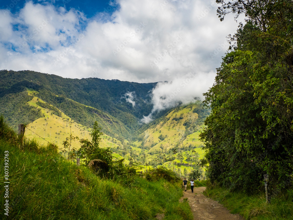 Cocora valley landscape in Colombia
