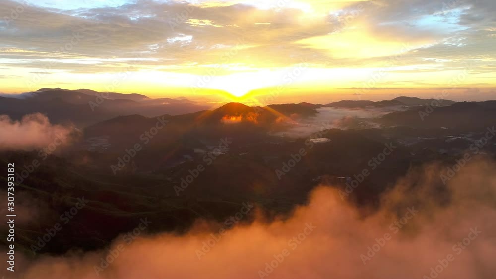 Aerial dramatic sunrise by drone at TEA Plantation, Sg. Palas, Cameron Highlands, Pahang. Malaysia. Aerial dramatic sunrise by drone at TEA Plantation, Sg. Palas, Cameron Highlands, Pahang. Malaysia.