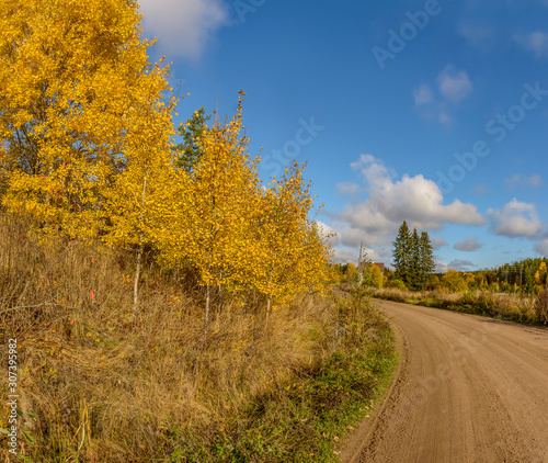 Autumn landscape in Karelia with road.