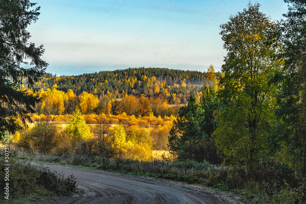 Naklejka premium Autumn landscape in Karelia with road.