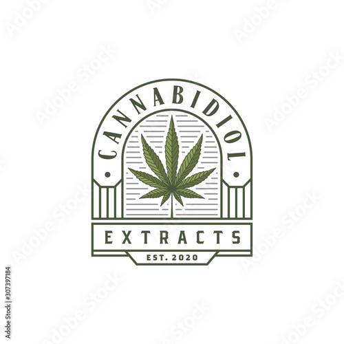 Vintage Luxury CBD Cannabis Marijuana Hemp Leaf Logo design vector