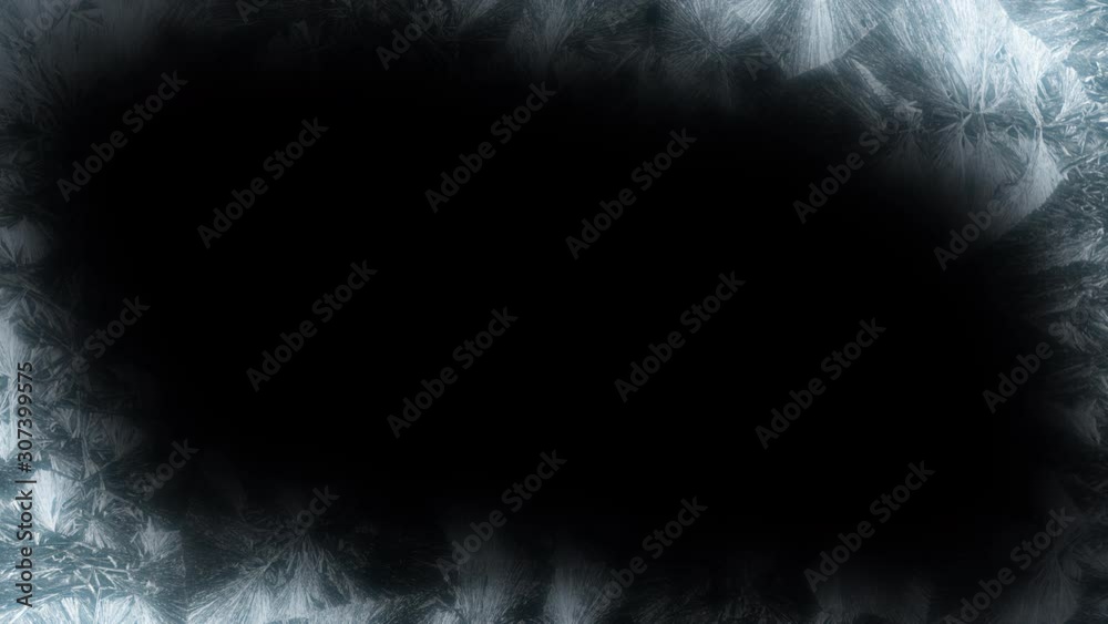 Ice Flowers Frost Frame