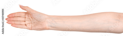 Female caucasian hands  isolated white background showing  gesture holds something or takes, gives. woman hands showing different gestures