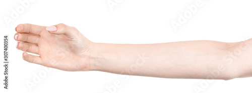 Female caucasian hands isolated white background showing gesture holds something or takes, gives. woman hands showing different gestures