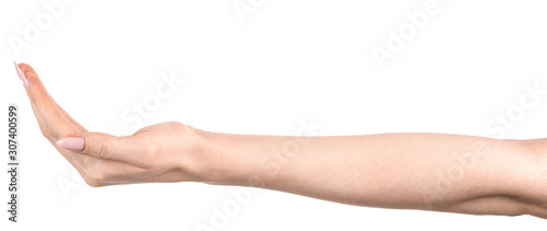 Female caucasian hands  isolated white background showing  gesture holds something or takes, gives. woman hands showing different gestures © Илья Подопригоров