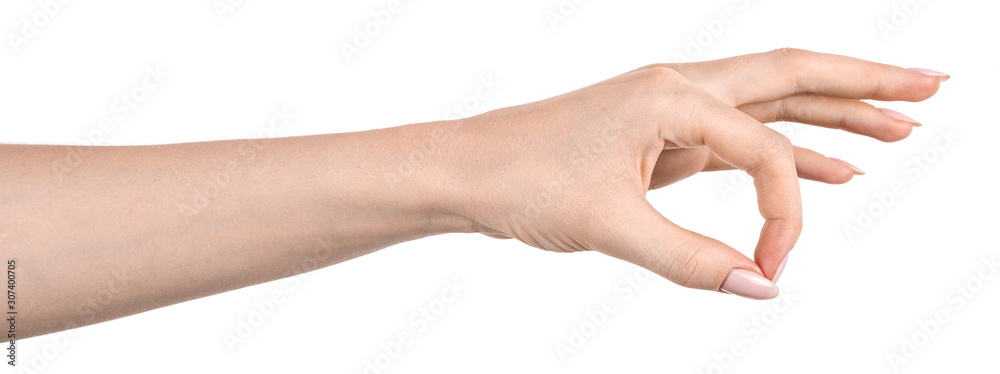 Female caucasian hands isolated white background showing gesture holds something or takes, gives. woman hands showing different gestures Female caucasian hands isolated white background showing gesture holds something or takes, gives. woman hands showing different gestures